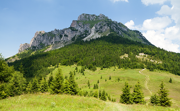 Veľký Rozsutec