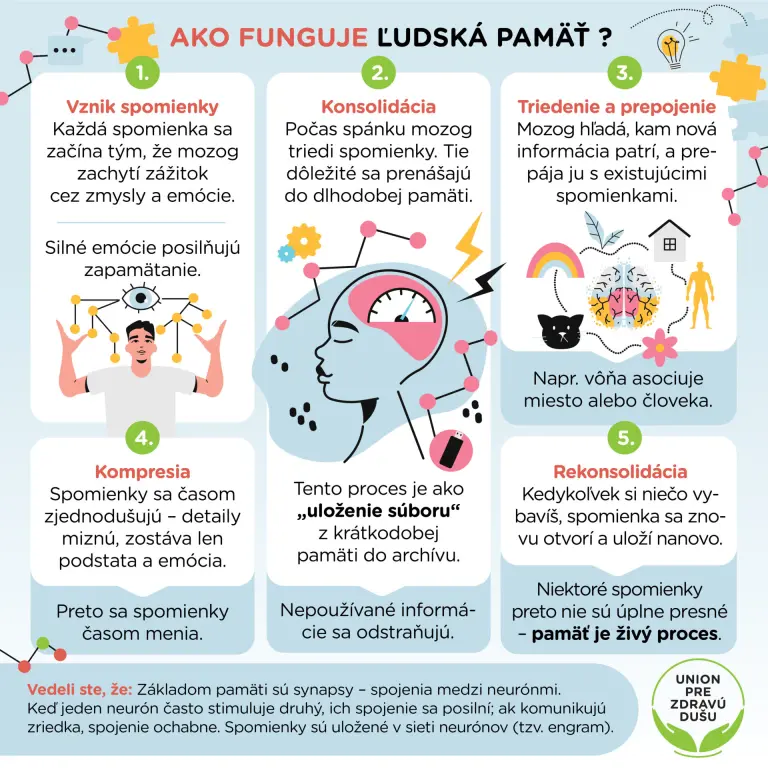 Ako funguje ľudská pamäť?