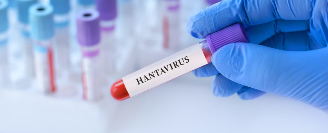 Skúmavka s krvou s hantavírusom