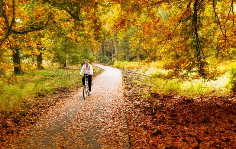 kam na bicykli v jeseni