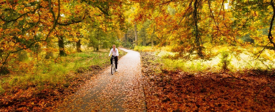 kam na bicykli v jeseni