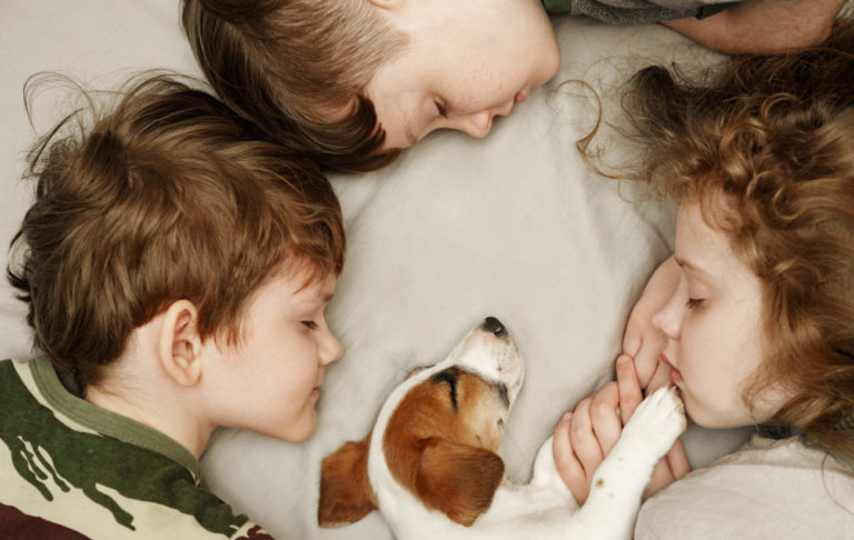 tri deti spiace s bielohnedym stenatom