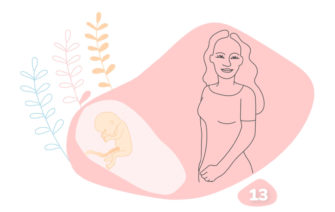 grafika k trinástemu týždňu tehotenstva