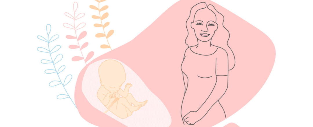 kresba tehotnej ženy a bábätka v brušku