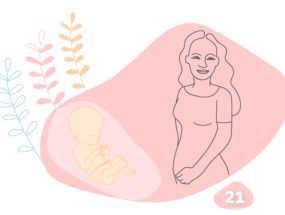 21. týždeň tehotenstva