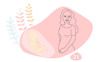 21. týždeň tehotenstva