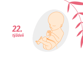 22. týždeň tehotenstva