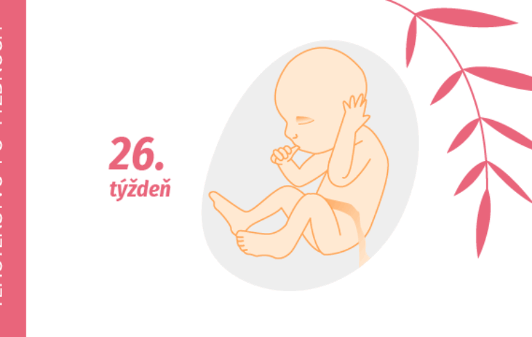 26. týždeň tehotenstva 26. týždeň tehotenstva