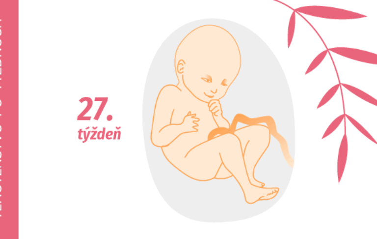 27. týždeň tehotenstva 27. týždeň tehotenstva