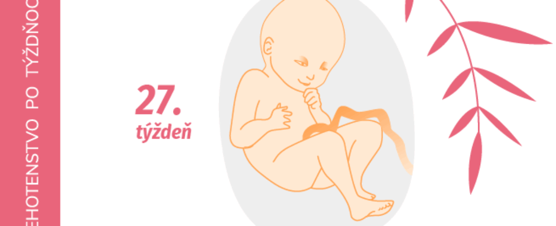 27. týždeň tehotenstva 27. týždeň tehotenstva