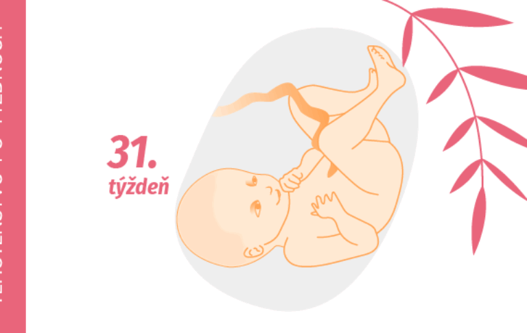 31. týždeň tehotenstva 31. týždeň tehotenstva