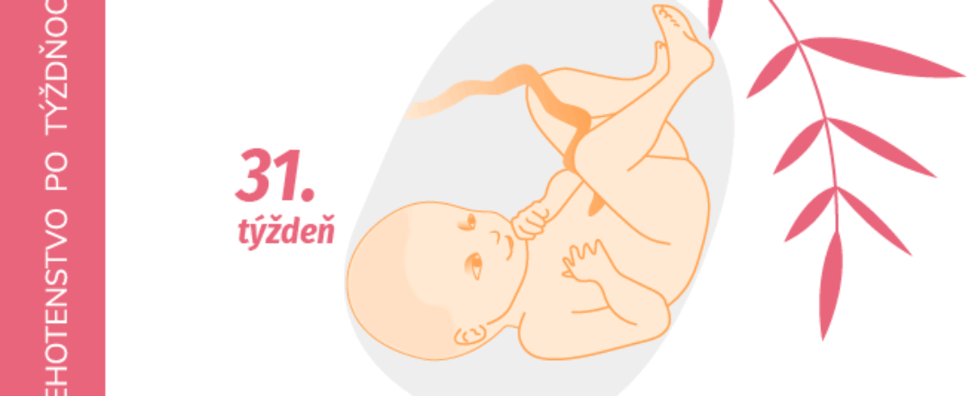 31. týždeň tehotenstva 31. týždeň tehotenstva