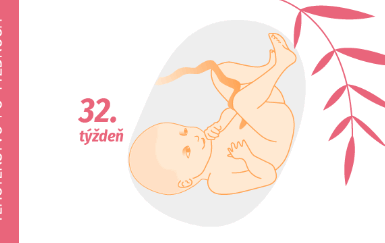 32. týždeň tehotenstva 32. týždeň tehotenstva