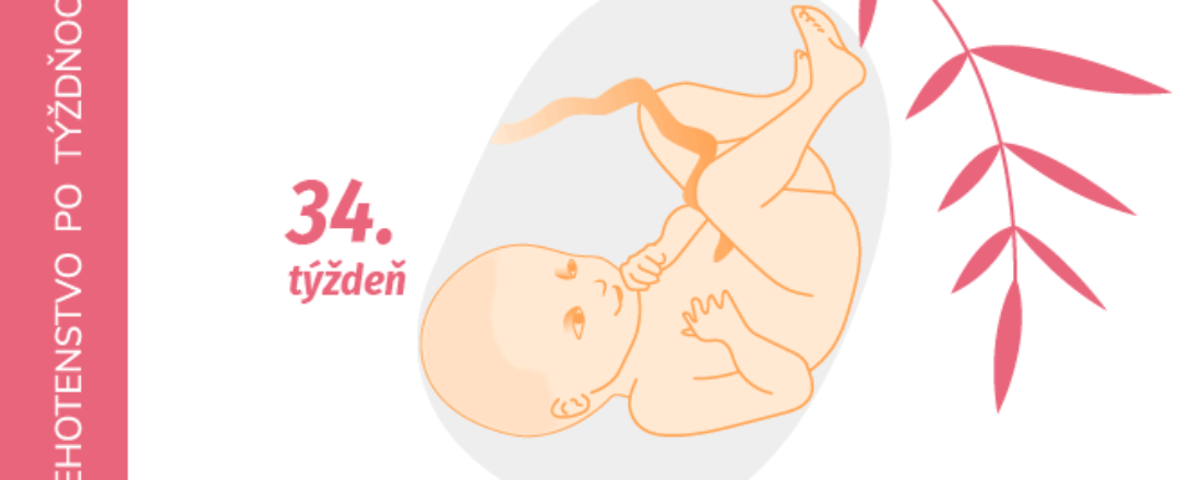 34. týždeň tehotenstva 34. týždeň tehotenstva