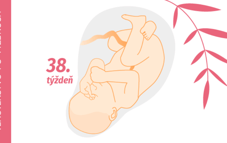 38. týždeň tehotenstva 38. týždeň tehotenstva